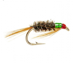 Diawl Bach - Green Throat