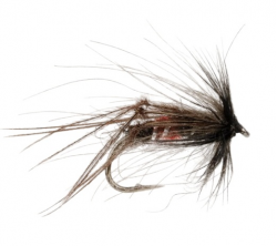 CDC Hopper Black / Red Butt