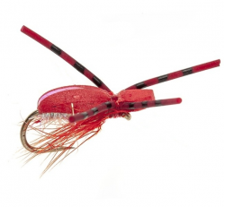 Flashback Foam Beetle - Red