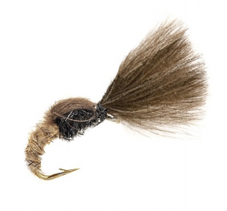 Shuttlecock Hares Ear and Black