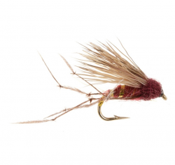 Hog Hopper - Claret