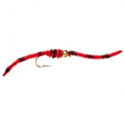 Tiger Worm - Red