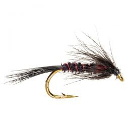 Black and Holo Red Cruncher