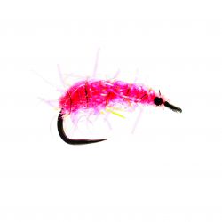 Pinky Tungsten Shrimp