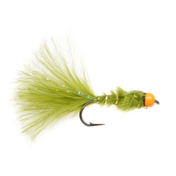 Hothead Damsel Orange