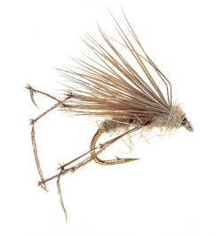 Hog Hopper - Hares Ear