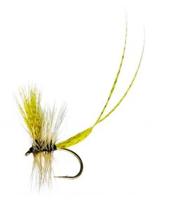Twin Feather Mayfly