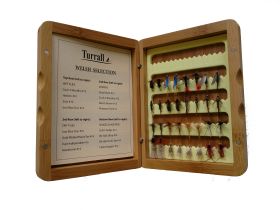 bam16 Daddy Longlegs