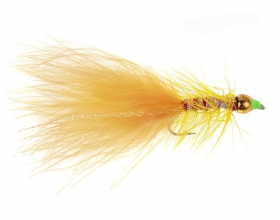 Goldhead Peach Dancer