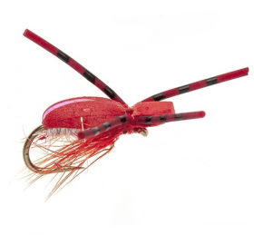 Flashback Foam Beetle - Red