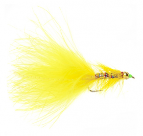 Goldhead Yellow Dancer