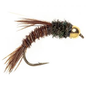 Swimming Pheasant Tail (tungsten)
