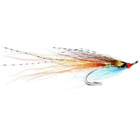 Tronach Shrimp