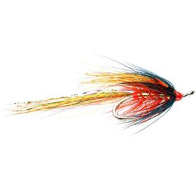 Murthly Marauder Shrimp