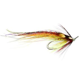 Cassley Shrimp