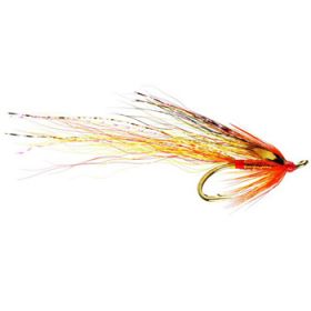Girnal Shrimp
