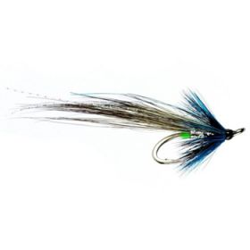 Morning Glory Shrimp