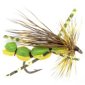 DOM'S GRASSHOPPER