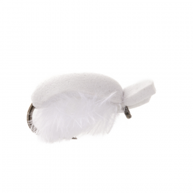 White Breadcrust Fly