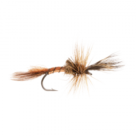 Crippled Mayfly Brown