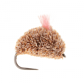 Carp Fly - Dog Biscuit