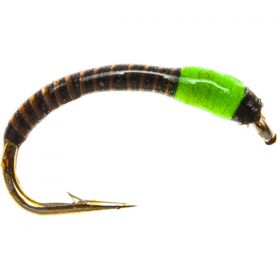 Neon Quill Epoxy Buzzer - Green