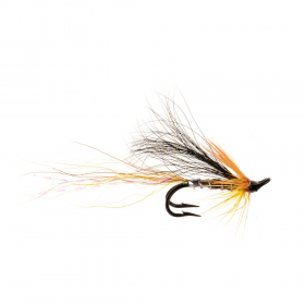 Allys Shrimp Cascade