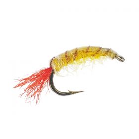 Flash Shrimp Yellow