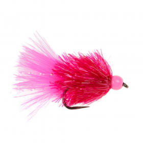 Blob - Hot Head - Pink/Pink Barbless