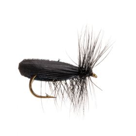 Black Caddis