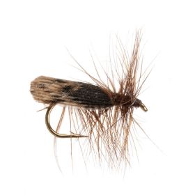 Black Caddis