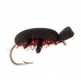 Fire Beetle