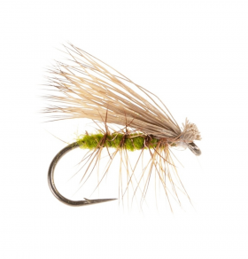 Elk Hair Emerger - Olive